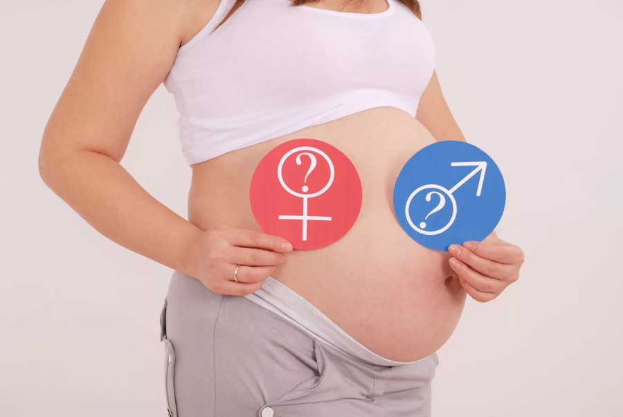 Форма живота при беременности мальчиком, девочкой: определяем пол ребенка