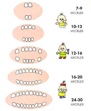 Прорезывание зубов у детей: пережить трудные времена